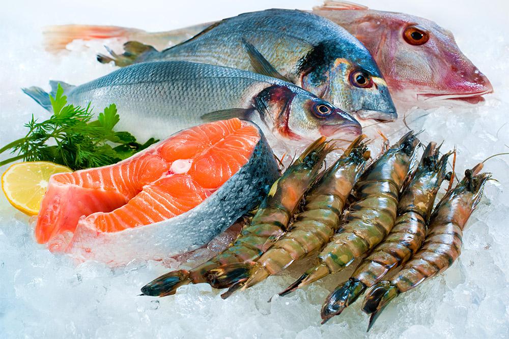 Entenda Poque Peixes e Frutos do Mar Protegem Contra o Alzheimer
