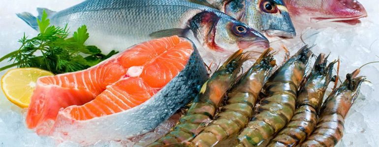 salmão, frutos do mar