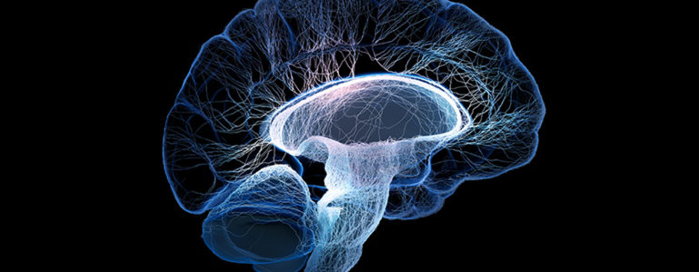 tratamento para o alzheimer reverte danos no cérebro