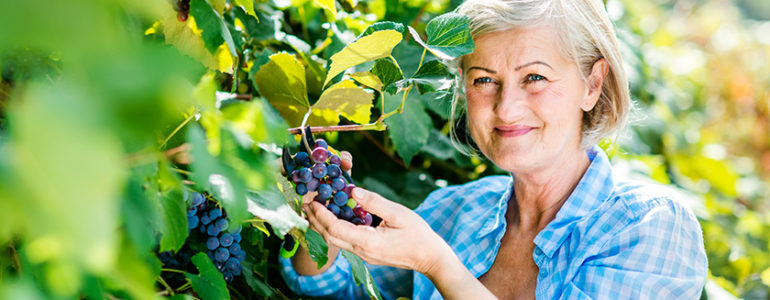 uvas ajudam memória de pessoas com início de alzheimer