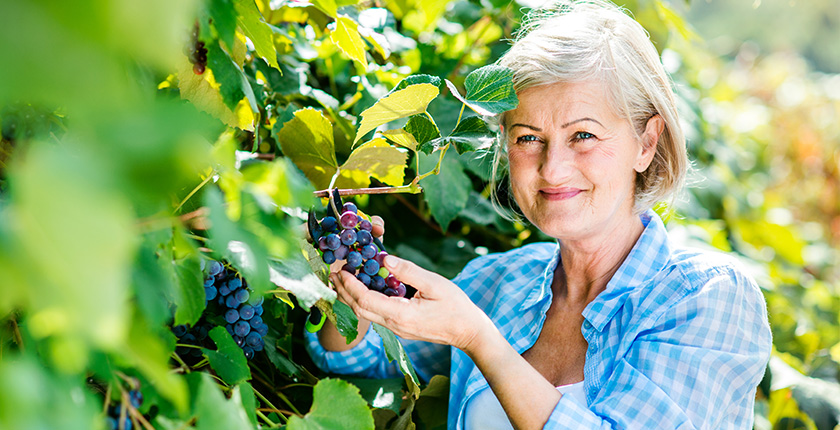 uvas ajudam memória de pessoas com início de alzheimer